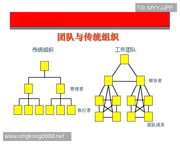 南京篮球队团队协作表现的数据分析与提升策略研究