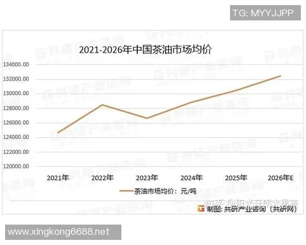 2026年3月份新闻杭州篮球队心理素质深度对比分析及其对比赛表现的影响探讨